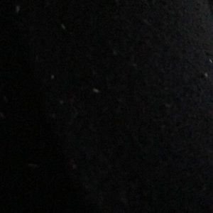 Meet your Posher, Hailey